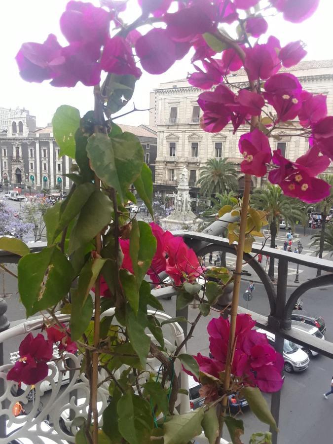 Florio CTA